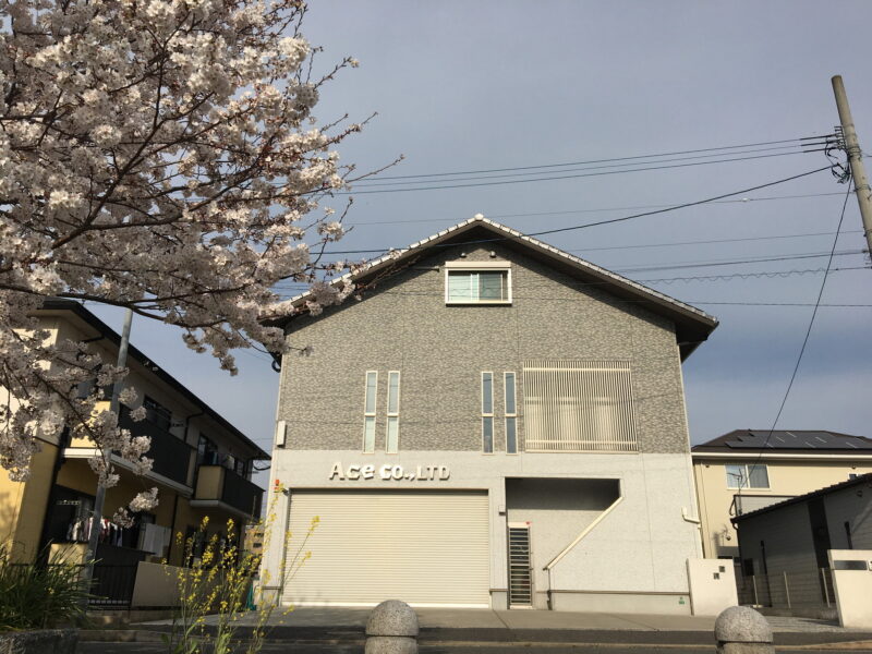 桜の似合うハウスメーカー株式会社Ace(”ω”)ノ